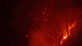 تلاش‌های مردمی برای خاموش کردن جنگل الیت مازندران