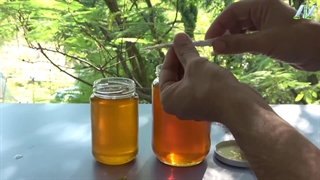 تست عسل طبیعی با کبریت : سوزاندن دروغ بزرگ متقلبان!