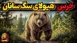 خرس ها، از تنبل ترین تا وحشی ترین گوشتخواران دنیا