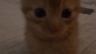 حــالتــون؟"