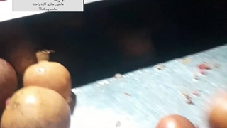 دانه کن انار ۰۹۱۳۸۸۰۳۱۰۱