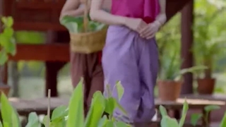 قسمت اول شامتس