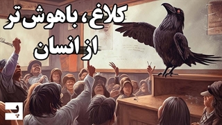 کلاغ ها، موجوداتی زرنگ که از کودکان هم باهوش تر اند