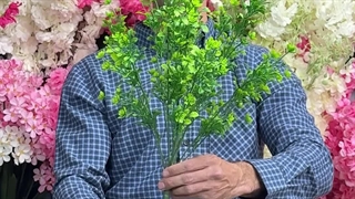 بوته مصنوعی طرح شمشاد ژاپنی