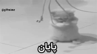 —