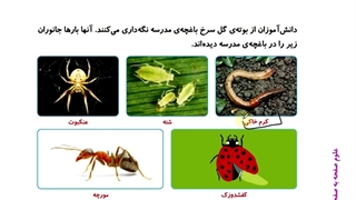 فصل یازدهم علوم