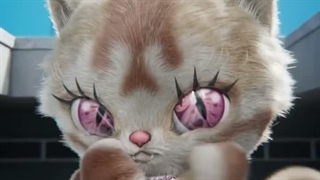 آپدیت سوشال مدیا میو با عروسک نارین و اهنگ meow