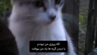 باشه ؟
