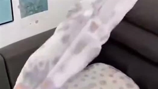 روبالشتی یک بار مصرف مخصوص مهمان و مسافرت