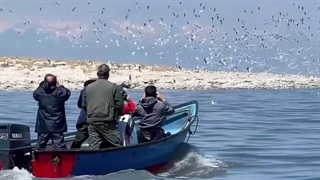 پر آب شدن دریاچه ارومیه بعد از بارندگی های اخیر....
