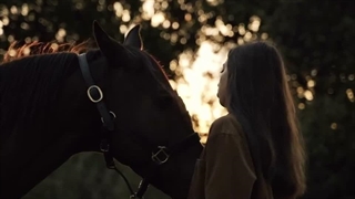 horse riding>>>>