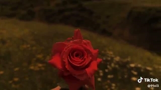کپشن