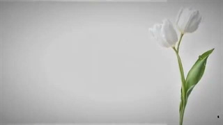 ۱۵۰ تایی رو هم رد کردیممم ممنون از همتونن