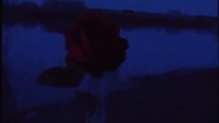 لطفا همه مراقب خودتون باشین :))