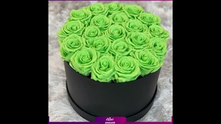 سفارش گل رز سبز تازه
