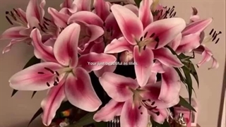 کسایی که آزمون تیزهوشان و نمونه دادین... امیدوارم به نتیجه دلخواهتون برسید...