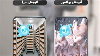 کاربرد ازن در اتاق دود و گاز تخم مرغ | جایگزین فرمالین