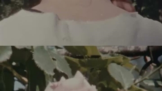 ;