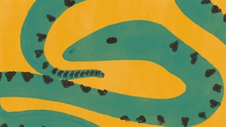 Snakes