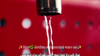 عرق گیری از نعنا بدون مصرف آب با دستگاه تقطیر واترلس 09138900047