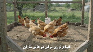 توری مرغی؛ راه‌ حل ساده برای حصارکشی حرفه‌ ای