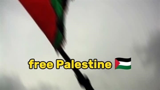 حمایت سلبرتی  ها و افراد مشهور خارجی از فلسطین!......