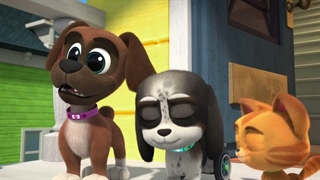 S05E16-A Very Berry Friendship Feast Nature Pillow Pups