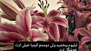 تقدیم به کیمیا.دست ساز
