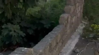 ملک جاده رشت انزلی ۰۹۱۱۹۳۱۹۰۰۷