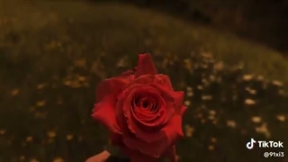 دلتون تنگ نشد واسم؟