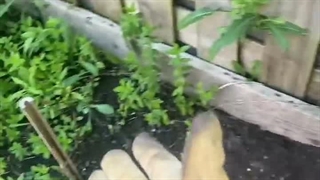 ریدم چه صدایی داددددد