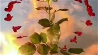 کلیپ مرتضی اشرفی دلبر جذاب