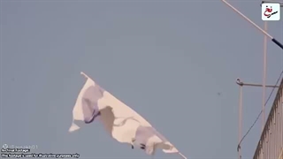سرنخ_دیدار_ترامپ_با_نتانیاهو_و_زلنسکی_در_مورد_ایران_و_روسیه