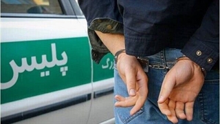 نحوه دزدی چند سارق مسلح از یک باغ‌ ویلا
