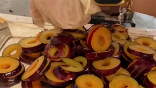 طرز خشک کردن آلو شابلون با دستگاه خشک کن اسوه صنعت 09138900047