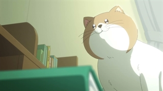 انیمه من و تو دو قطب مخالفیم Seihantai na Kimi to Boku فصل دوم قسمت 5