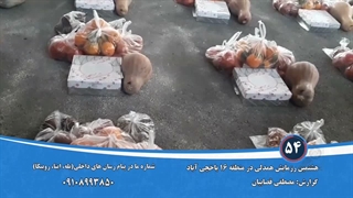 رزمایش همدلی