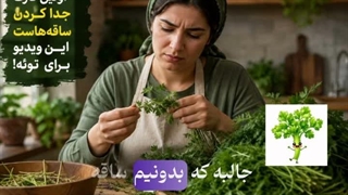 برگ مهم‌تر است یا ساقه؟