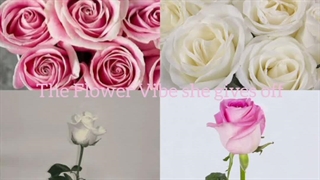 ♡♡تقدیم به آنیتا خوشگلم♡♡وایبی که بهم میدی...★ادیت خودم✩