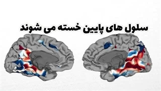 6 توهم بصری که نمی تونی نادیده بگیری