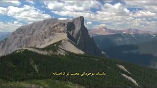 پیش پرده «معمای حل نشدنی داروین»