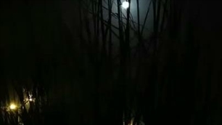 بیاین براتون یه شعر بگم