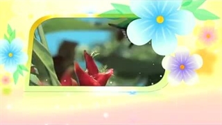 آموزش اسماء الحسنی با معنا - 01 الله