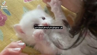 من قل ندارم:)