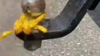 آموزش گره کاربردی حتما به کارت میاد