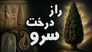 از زرتشت تا هخامنشیان؛ راز مقدس ترین درخت ایران