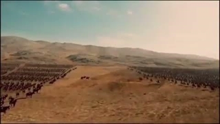 جنایات اعراب در ایران