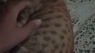 من و گربم درحال بازی کردن ^-^