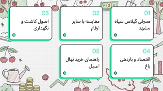 راهنمای نهال گیلاس سیاه مشهد