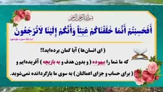 بیهوده خلق نشده اید